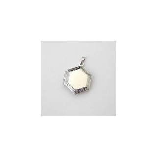 MEDAGLIA ESAGONALE NICKEL APRIBILE 19x23 mm
