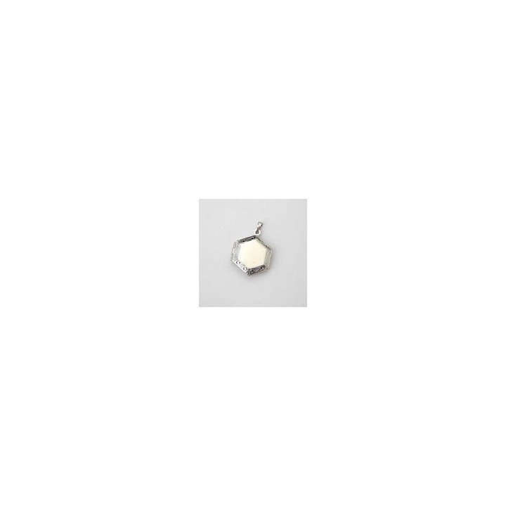 MEDAGLIA ESAGONALE NICKEL APRIBILE 19x23 mm