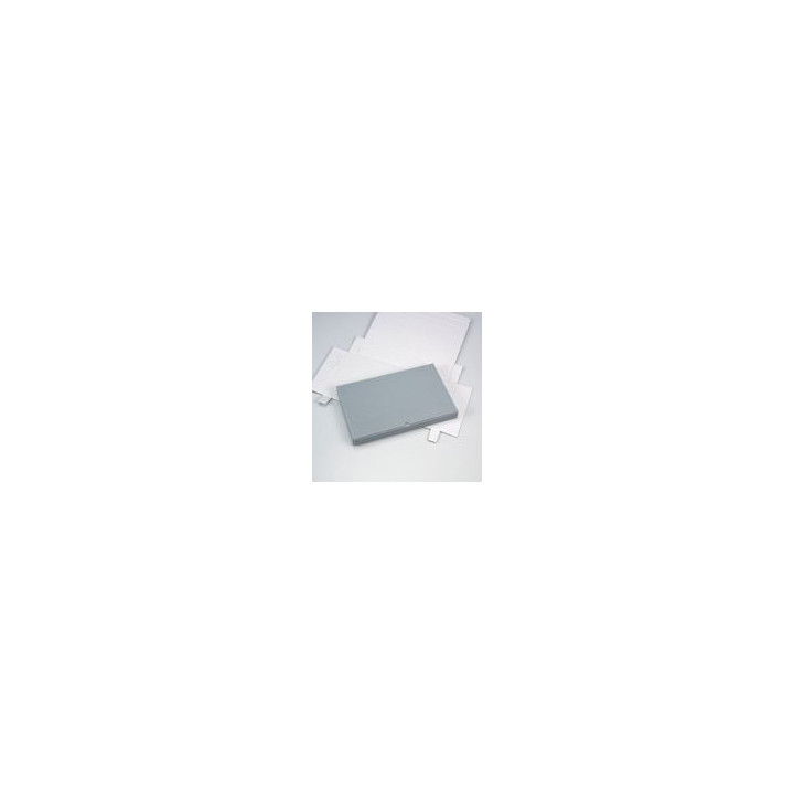 SCATOLINA ARGENTATA 31,5x19,5x3,5 cm CON INTERNO BIANCO